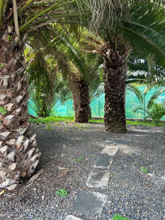 Vila Casa Beatriz La Orotava Exteriér fotografie